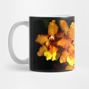 Hybrid Cattleya Orchid Mug